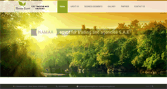 Desktop Screenshot of namaaegyptta.com